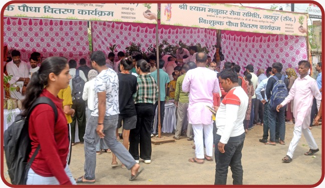 Photos of the free Sapling distribution program