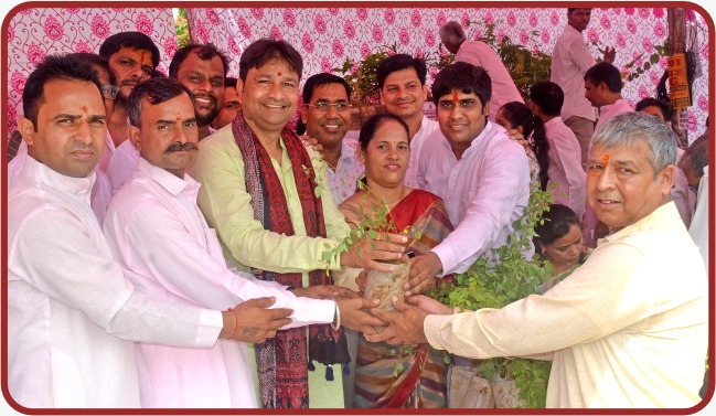 Photos of the free Sapling distribution program