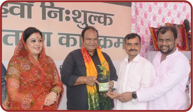 Photos of the free Sapling distribution program
