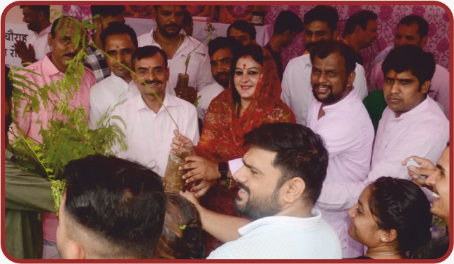 Photos of the free Sapling distribution program
